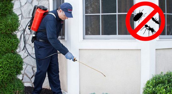 Ulukışla Akrep İlaçlama böcek ilaçlama ve haşere kontrolü — ilaclama-tr.com